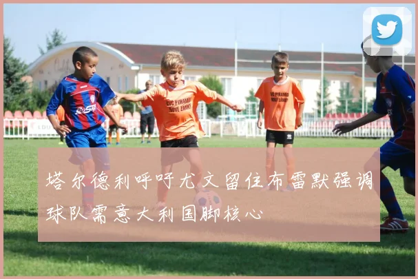 塔尔德利呼吁尤文留住布雷默强调球队需意大利国脚核心
